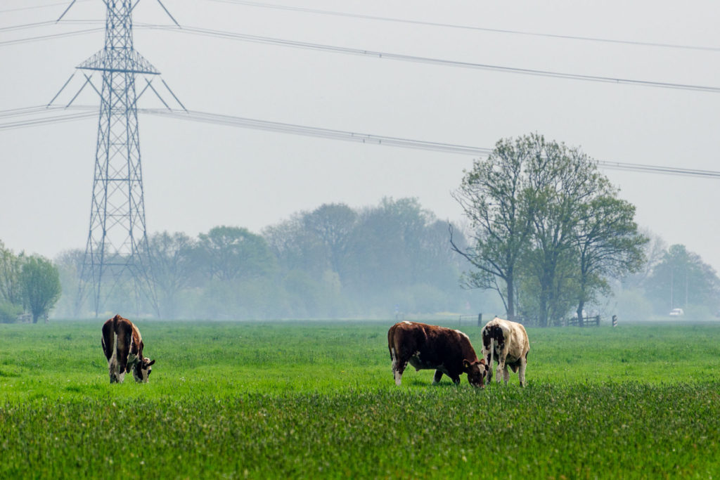 Vestingvisie Grave [TEST]